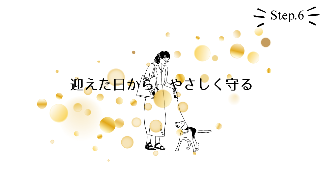 繁殖引退犬を迎えたら最初にすること｜健康管理と手続きガイド01.png alt="繁殖引退犬を迎えたら最初にすること｜健康管理と手続きガイド | 表紙"