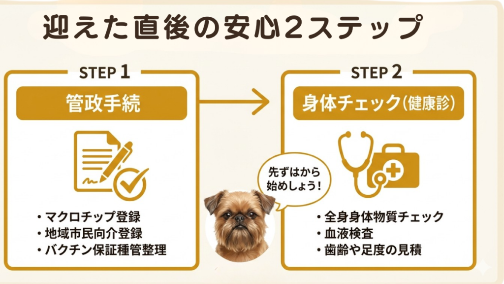 繁殖引退犬を迎え「まず何から始めればいい？」と戸惑っていませんか？行政手続きから健康診断、生活準備まで、やるべきことを2ステップで完全ガイド。愛犬を家族に迎えた私だからこそ伝えられる、スムーズで安心な新生活のスタート方法がわかります。
