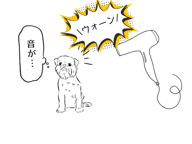 犬にドライヤーは必要?正しい選び方と使い方を解説【保存版】06.png alt=" 犬にドライヤーは必要?正しい選び方と使い方を解説【保存版】"