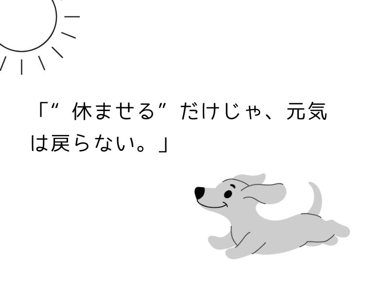 犬の疲労回復に“酸素チャージ”|繁殖引退犬やシニア犬にもおすすめの自宅ケア03.png
alt=" 犬の疲労回復に“酸素チャージ”|繁殖引退犬やシニア犬にもおすすめの自宅ケア | 休ませる、だけじゃ"