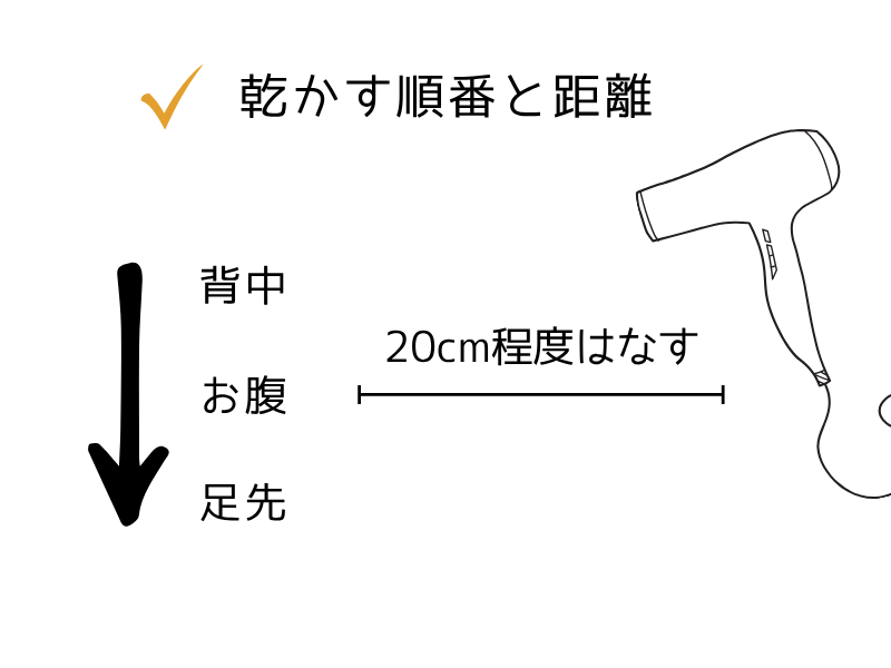 犬にドライヤーは必要?正しい選び方と使い方を解説【保存版】04.png alt=" 犬にドライヤーは必要?正しい選び方と使い方を解説【保存版】"