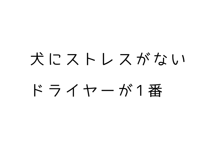 犬にドライヤーは必要?正しい選び方と使い方を解説【保存版】03.png alt=" 犬にドライヤーは必要?正しい選び方と使い方を解説【保存版】"