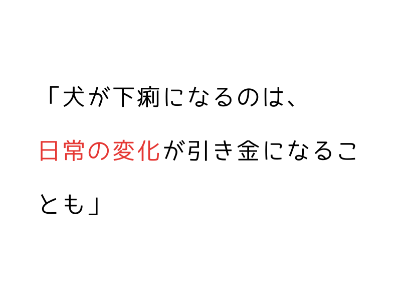 犬の下痢|原因・症状・対処法を徹底解説【病院に行く目安もわかる】01.png
alt="犬の下痢|原因・症状・対処法を徹底解説【病院に行く目安もわかる】"