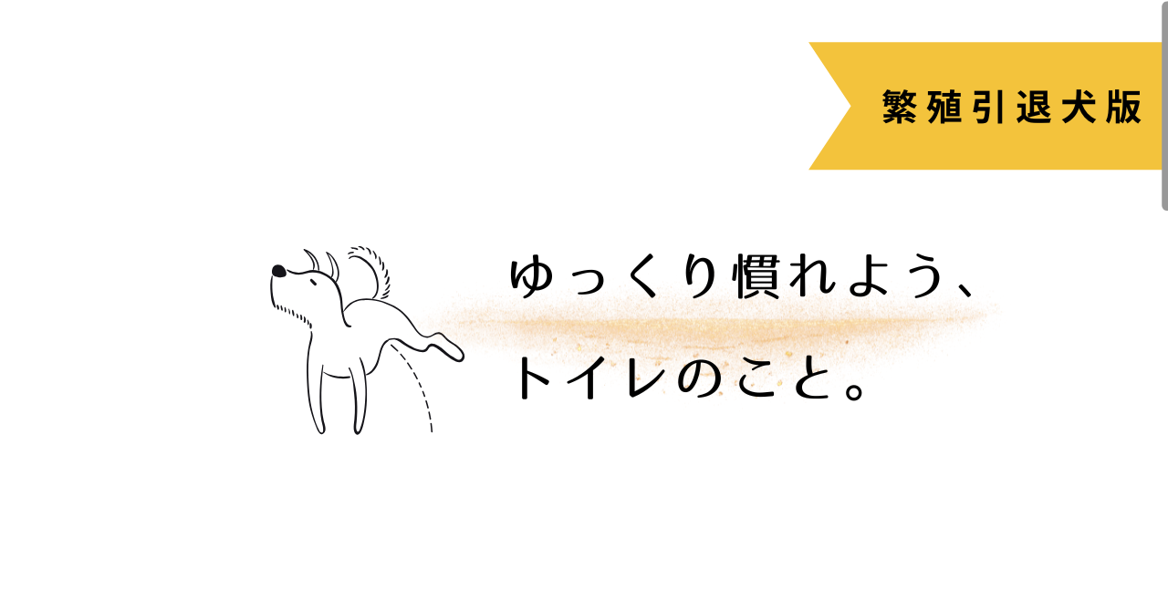 【成犬でもできる！】犬のトイレトレーニング完全ガイド｜失敗から成功までのリアル体験記.png