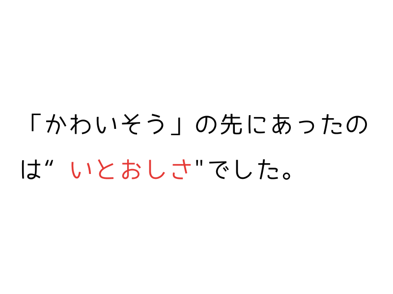 「かわいそう」と思って迎えた犬が、今はいちばん“いとおしい存在”になった話|繁殖引退犬との日々06.png
alt=" 「かわいそう」と思って迎えた犬が、今はいちばん“いとおしい存在”になった話|繁殖引退犬との日々"