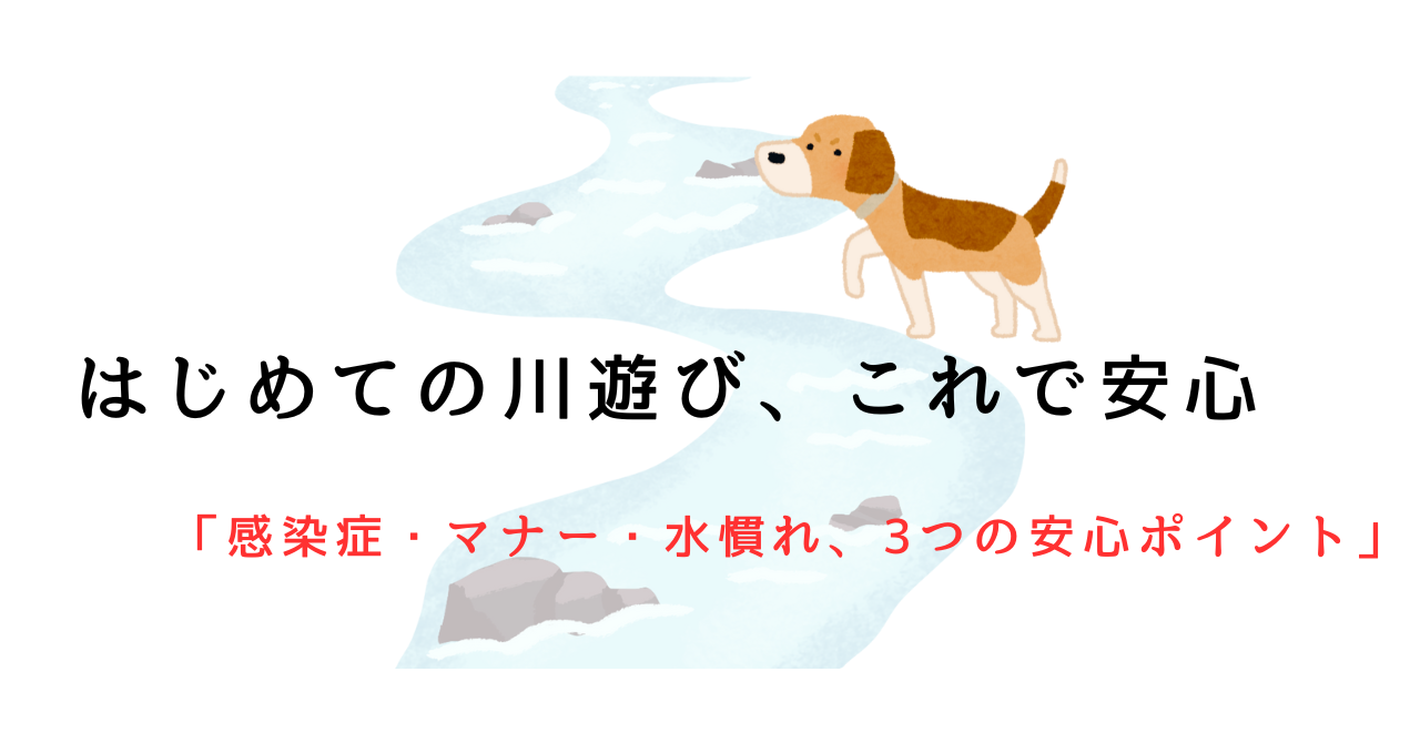 犬の川遊びで気をつけたい感染症・マナー・水慣れガイド【初めてでも安心】.png alt="犬の川遊びで気をつけたい感染症・マナー・水慣れガイド【初めてでも安心】"