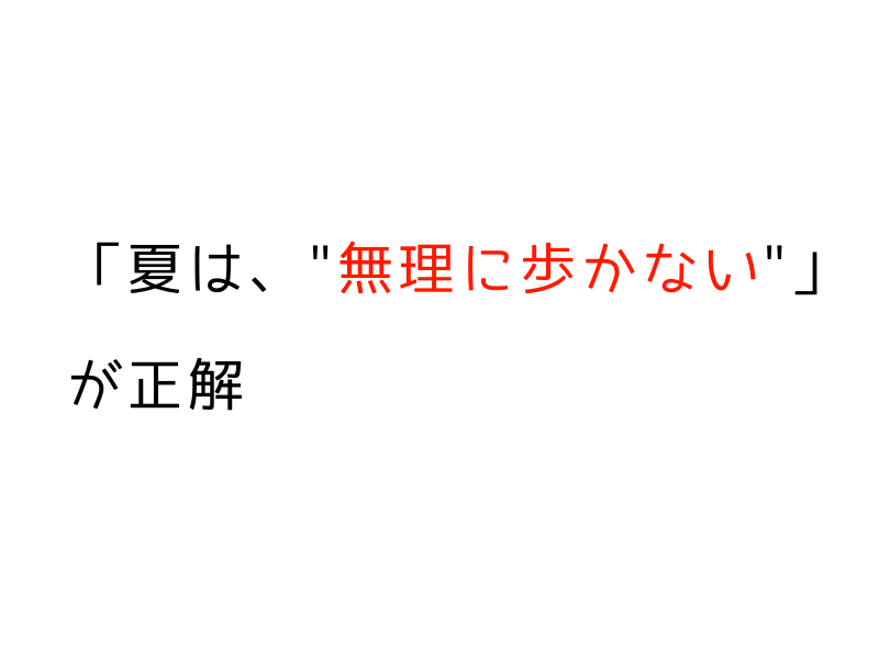 【夏の犬の散歩】朝でも夜でも危険？｜安全な時間と“歩かない”選択肢も03.png
ait="【夏の犬の散歩】朝でも夜でも危険？｜安全な時間と“歩かない”選択肢も"