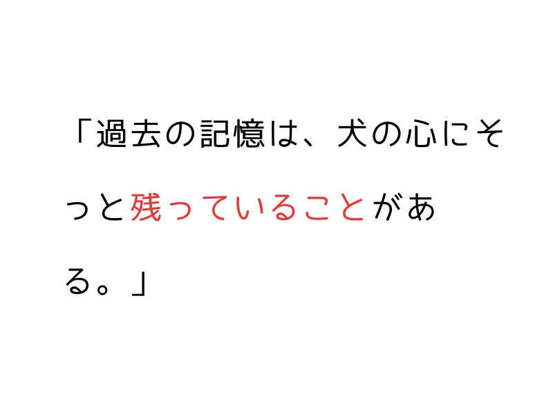 犬の記憶とトラウマ|保護犬・繁殖引退犬との信頼関係を育てるには02.png
alt="犬の記憶とトラウマ|保護犬・繁殖引退犬との信頼関係を育てるには"