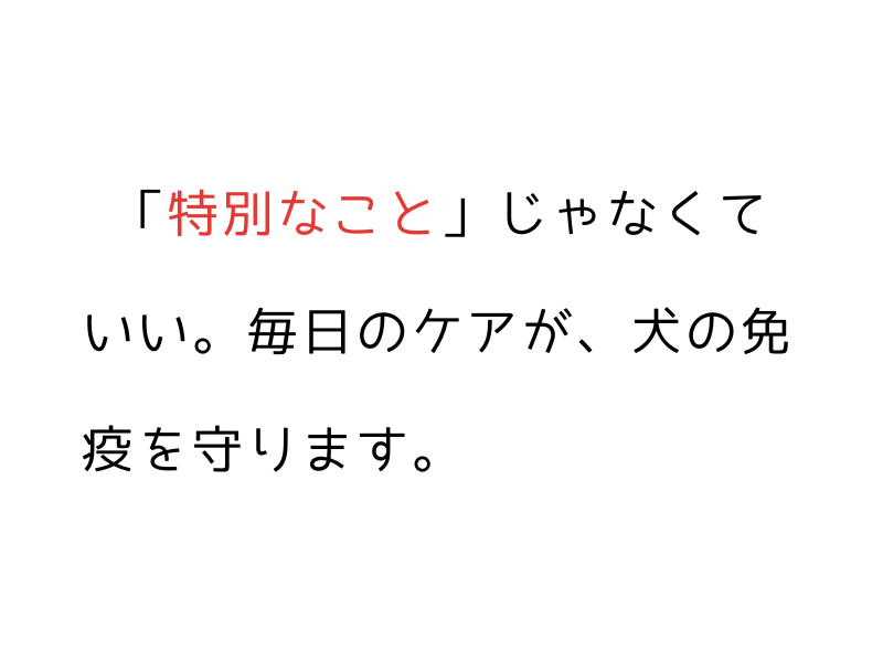 犬の免疫力が落ちる前に｜夏バテ・不調を防ぐ5つの習慣と酸素ケア03.png
alt=" 犬の免疫力が落ちる前に｜夏バテ・不調を防ぐ5つの習慣と酸素ケア"