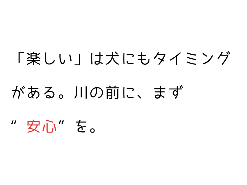犬の川遊びで気をつけたい感染症・マナー・水慣れガイド【初めてでも安心】04.png
alt=" 犬の川遊びで気をつけたい感染症・マナー・水慣れガイド【初めてでも安心】"