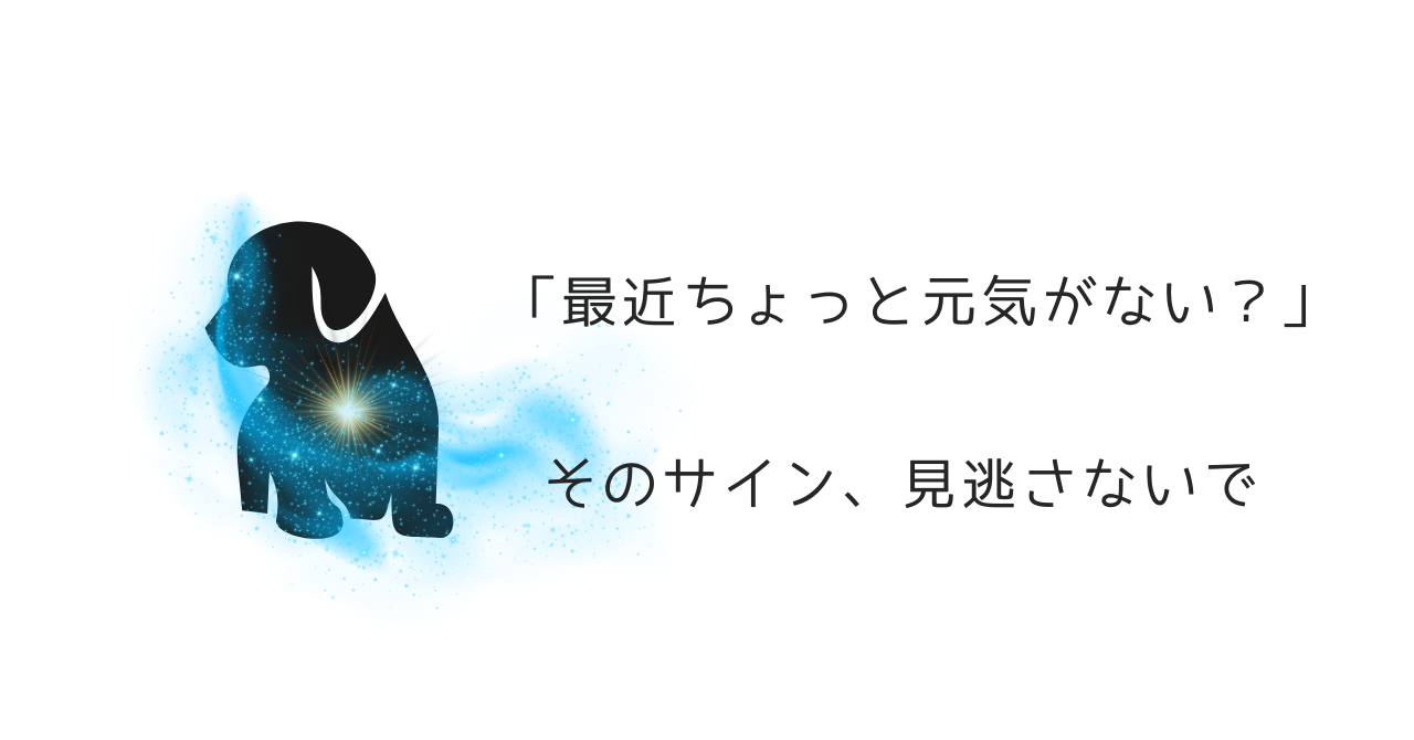 犬の免疫力が落ちる前に｜夏バテ・不調を防ぐ5つの習慣と酸素ケア.png