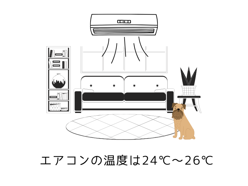 【夏の犬の散歩】朝でも夜でも危険？｜安全な時間と“歩かない”選択肢も05.png
ait="【夏の犬の散歩】朝でも夜でも危険？｜安全な時間と“歩かない”選択肢も"