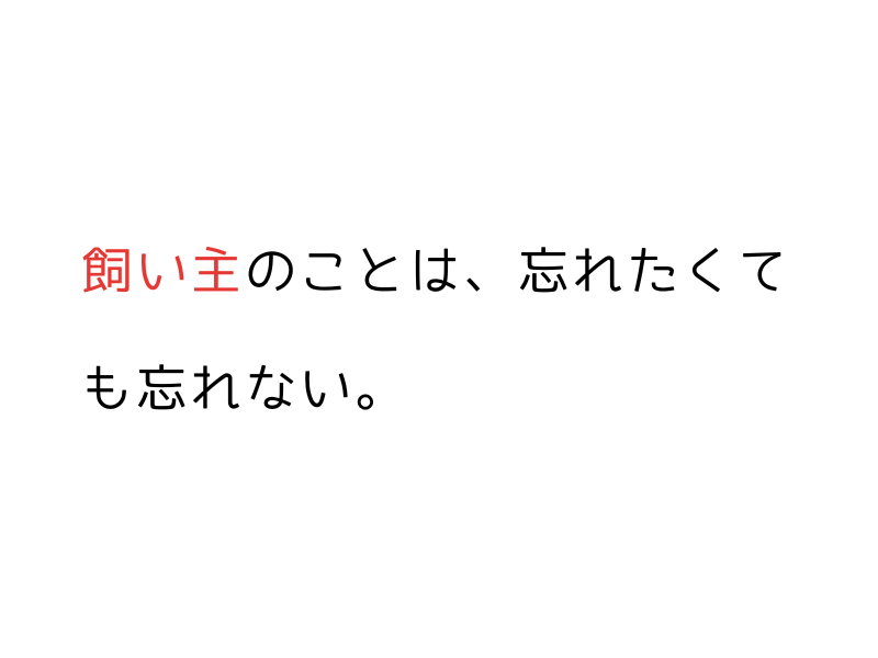 犬の記憶とトラウマ|保護犬・繁殖引退犬との信頼関係を育てるには01.png
alt="犬の記憶とトラウマ|保護犬・繁殖引退犬との信頼関係を育てるには"