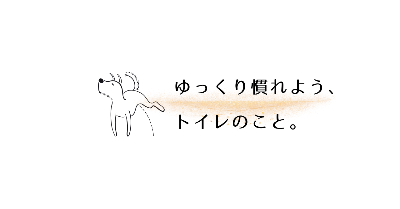 繁殖引退犬のトイレ問題に悩んだら | 外でできない理由と室内で成功するコツpng alt=" 繁殖引退犬のトイレ問題に悩んだら | 外でできない理由と室内で成功するコツ"