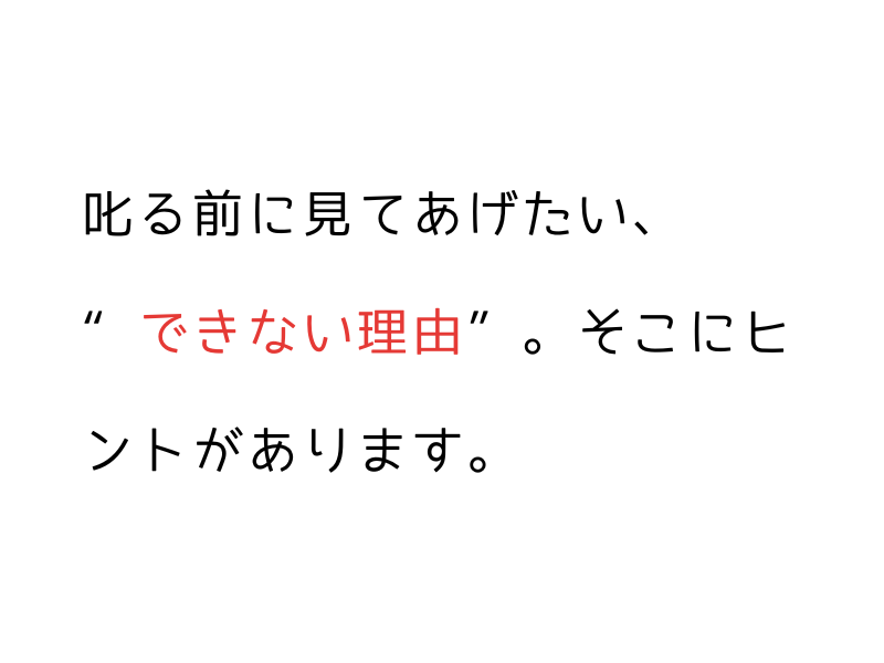 成犬のトイレトレーニングは遅くない|保護犬・繁殖引退犬の実録と成功のステップ02.png alt="成犬のトイレトレーニングは遅くない|保護犬・繁殖引退犬の実録と成功のステップ"