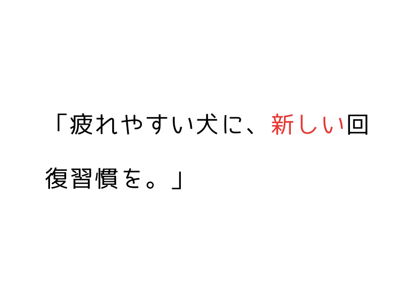 犬の免疫力が落ちる前に｜夏バテ・不調を防ぐ5つの習慣と酸素ケア05,png
alt=" 犬の免疫力が落ちる前に｜夏バテ・不調を防ぐ5つの習慣と酸素ケア"
