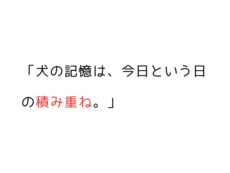 犬の記憶とトラウマ|保護犬・繁殖引退犬との信頼関係を育てるには05.png
alt="犬の記憶とトラウマ|保護犬・繁殖引退犬との信頼関係を育てるには"