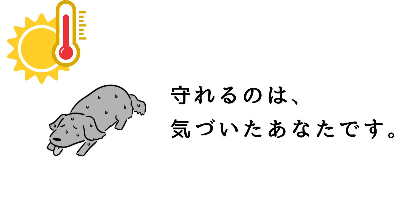 犬の熱中症を見逃さない！チェック＆応急処置の完全ガイド【初心者向け】