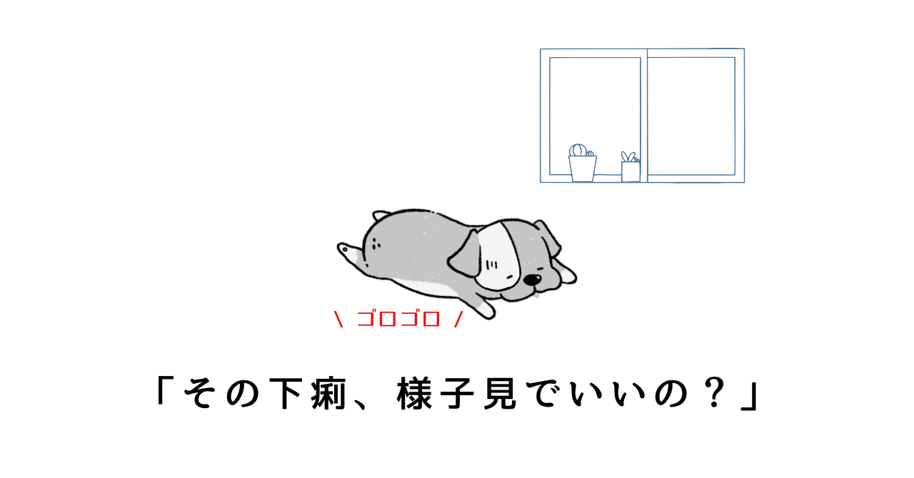 犬の下痢｜原因・症状・対処法を徹底解説【病院に行く目安もわかる】.png