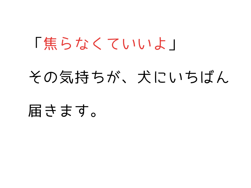 成犬のトイレトレーニングは遅くない|保護犬・繁殖引退犬の実録と成功のステップ03.png
alt="成犬のトイレトレーニングは遅くない|保護犬・繁殖引退犬の実録と成功のステップ"05.png
alt="成犬のトイレトレーニングは遅くない|保護犬・繁殖引退犬の実録と成功のステップ03.png
alt="成犬のトイレトレーニングは遅くない|保護犬・繁殖引退犬の実録と成功のステップ""
