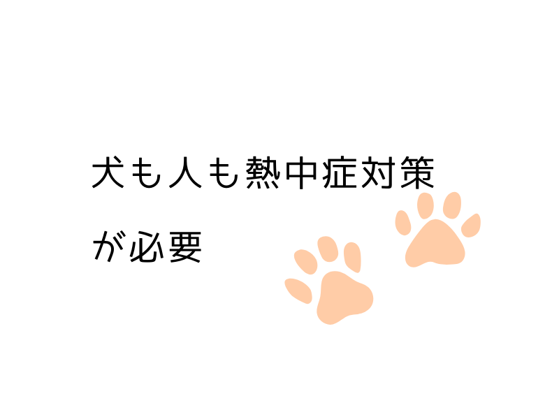 【夏の犬の散歩】朝でも夜でも危険？｜安全な時間と“歩かない”選択肢も01.png ait="【夏の犬の散歩】朝でも夜でも危険？｜安全な時間と“歩かない”選択肢も04.png
ait="【夏の犬の散歩】朝でも夜でも危険？｜安全な時間と“歩かない”選択肢も01.png ait="【夏の犬の散歩】朝でも夜でも危険？｜安全な時間と“歩かない”選択肢も""