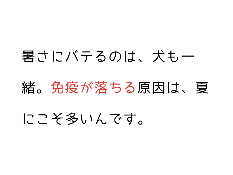 犬の免疫力が落ちる前に｜夏バテ・不調を防ぐ5つの習慣と酸素ケア02.png
alt=" 犬の免疫力が落ちる前に｜夏バテ・不調を防ぐ5つの習慣と酸素ケア"