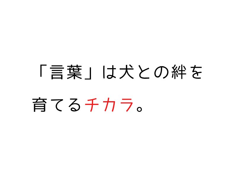 犬が喜ぶ言葉＆音まとめ｜声かけひとつで信頼が変わる！02.png
alt=" 犬が喜ぶ言葉＆音まとめ｜声かけひとつで信頼が変わる！"