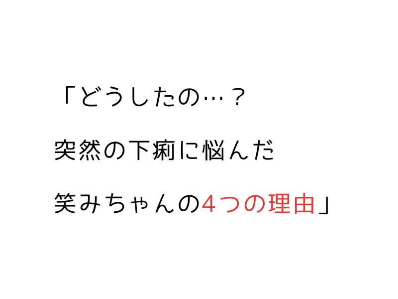 犬の下痢|原因・症状・対処法を徹底解説【病院に行く目安もわかる】02.png
alt="犬の下痢|原因・症状・対処法を徹底解説【病院に行く目安もわかる】"