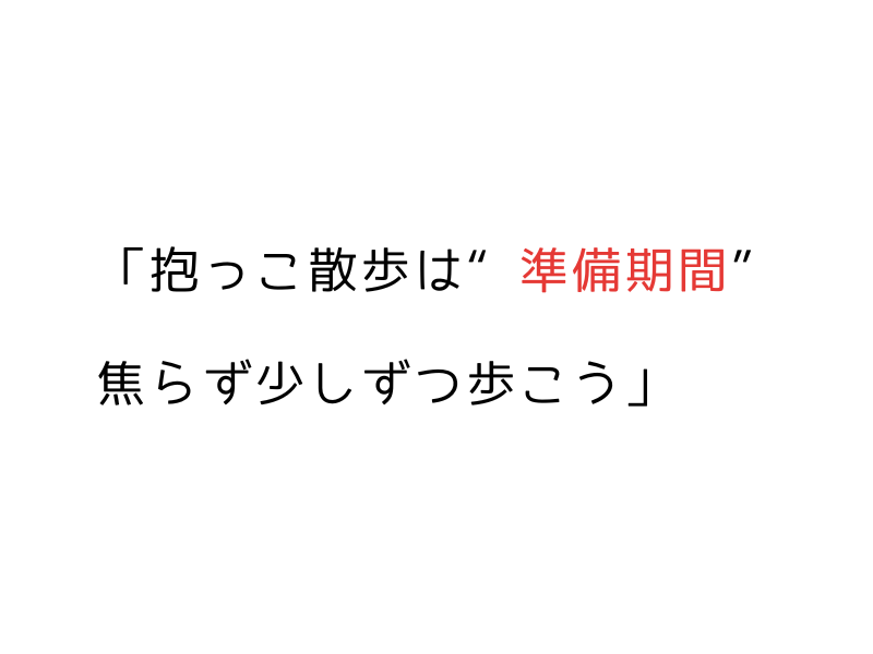 犬が散歩で歩かない…抱っこばかりの犬とのステップ02.png
alt=" 犬が散歩で歩かない…抱っこばかりの犬とのステップ"