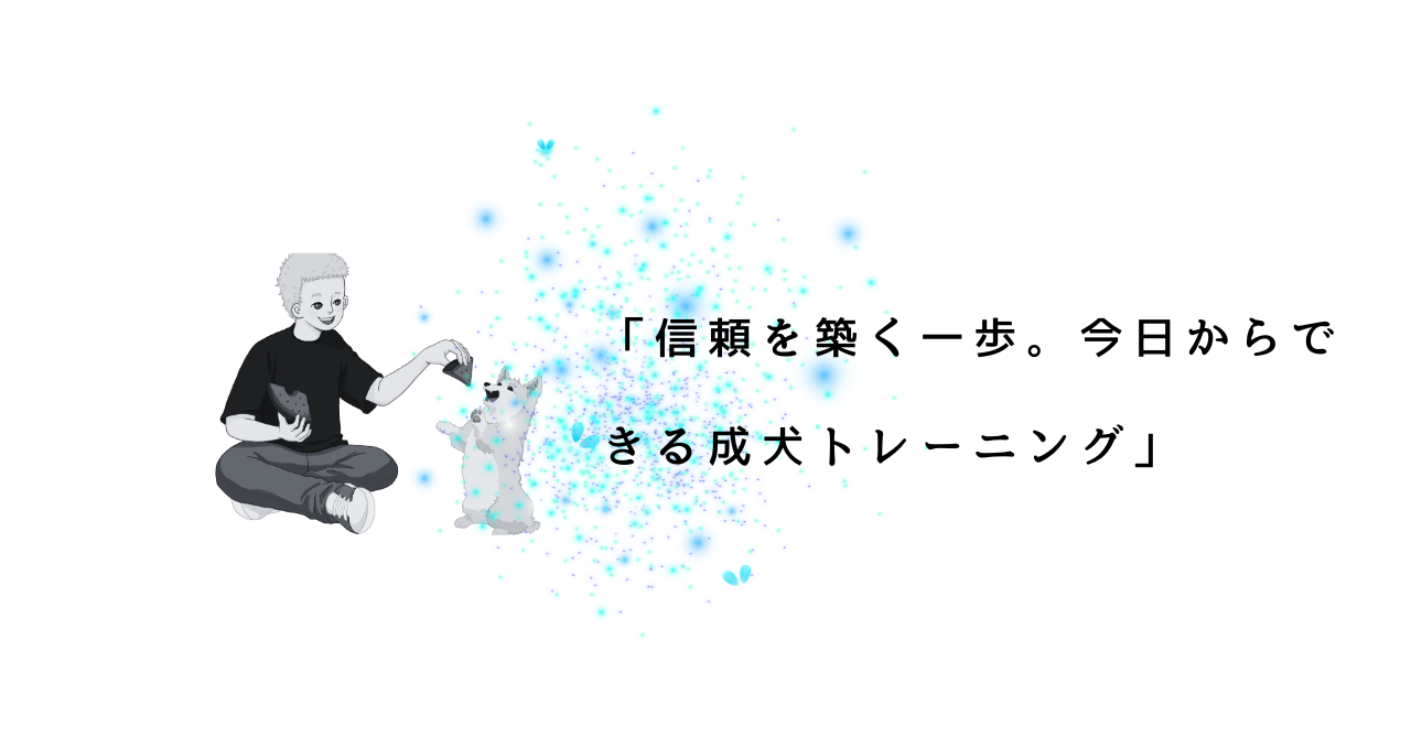 成犬からでもできる！犬のハズバンダリートレーニング完全ガイド