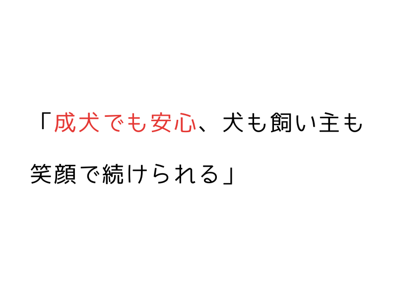 成犬からでもできる!犬のハズバンダリートレーニング完全ガイド06.png
alt=" 成犬からでもできる!犬のハズバンダリートレーニング完全ガイド"