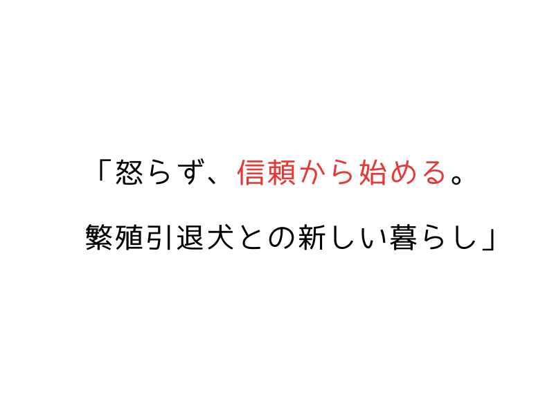 日本語・英語で学べる|繁殖引退犬の基本コマンドと信頼関係作り01.png
alt=" 日本語・英語で学べる|繁殖引退犬の基本コマンドと信頼関係作り"