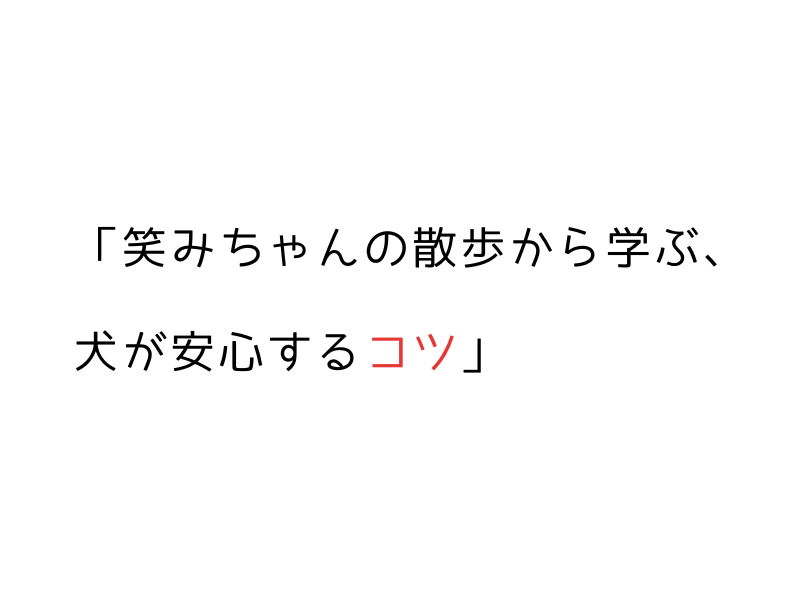 うちの犬、散歩に行きたがらない…わがまま？原因と対応法06.png alt=" うちの犬、散歩に行きたがらない…わがまま？原因と対応法"