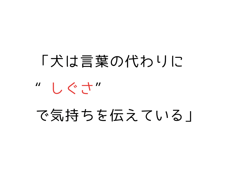 犬のカーミングシグナルとは?サインの意味と見逃さない接し方ガイド01.png
alt=" 犬のカーミングシグナルとは?サインの意味と見逃さない接し方ガイド"