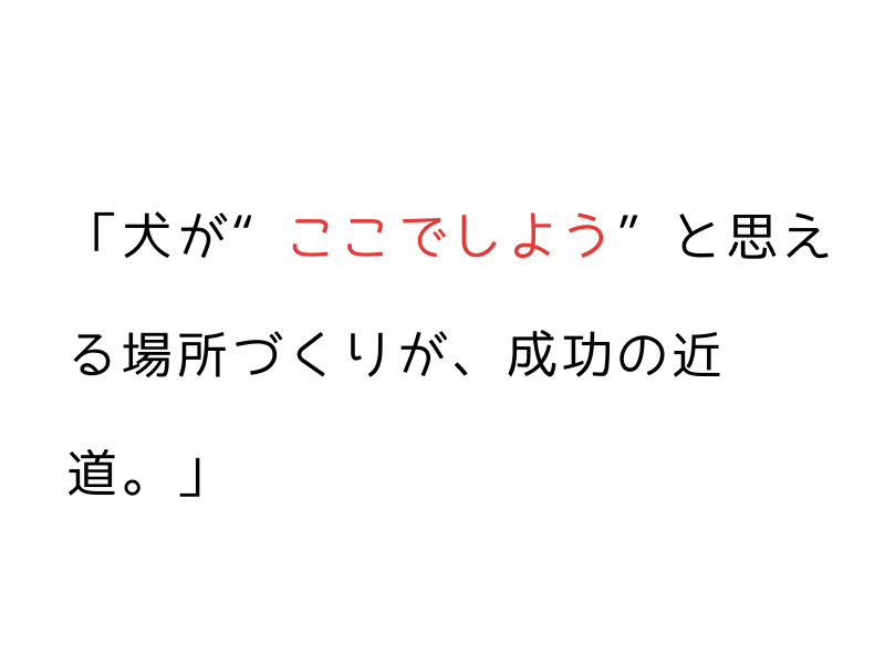 なぜ?成犬になってからでも遅くない!犬のトイレトレーニングのコツと注意点03.png
alt="なぜ?成犬になってからでも遅くない!犬のトイレトレーニングのコツと注意点"