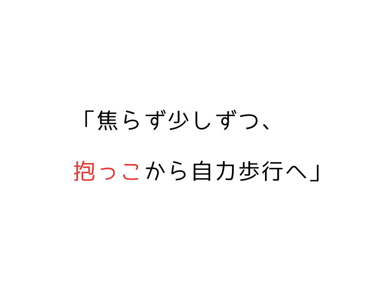 犬が散歩で歩かない…抱っこばかりの犬とのステップ03.png
alt=" 犬が散歩で歩かない…抱っこばかりの犬とのステップ"
