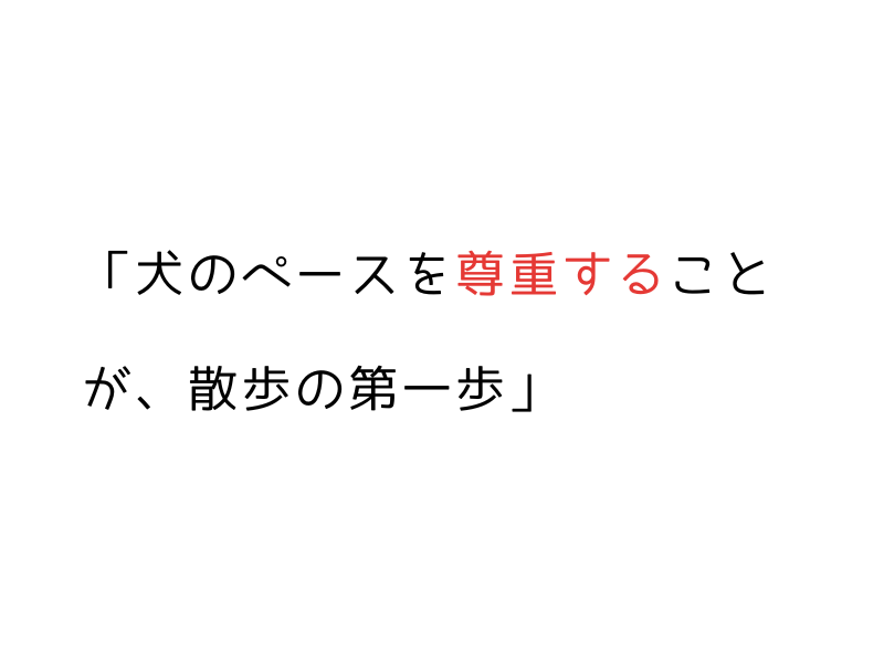 うちの犬、散歩に行きたがらない…わがまま？原因と対応法07.png alt=" うちの犬、散歩に行きたがらない…わがまま？原因と対応法"