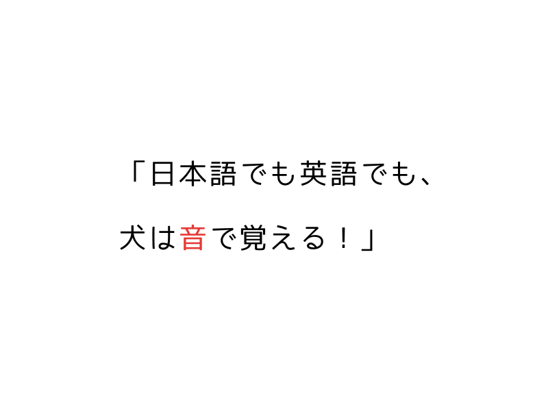日本語・英語で学べる|繁殖引退犬の基本コマンドと信頼関係作り03.png
alt=" 日本語・英語で学べる|繁殖引退犬の基本コマンドと信頼関係作り"