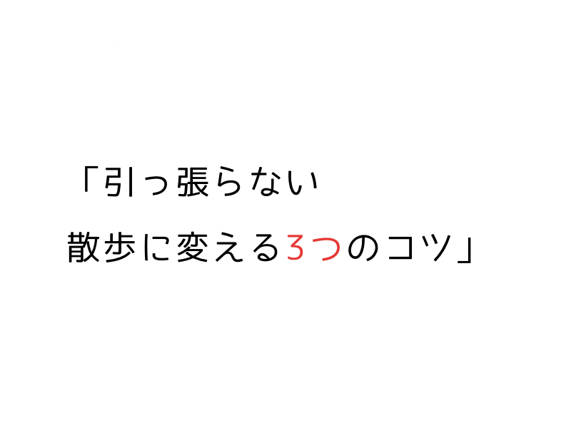 笑ちゃんの場合、パートナーと行くと引っ張りますが、私とだと立ち止まることもあります。04.png alt=" 笑ちゃんの場合、パートナーと行くと引っ張りますが、私とだと立ち止まることもあります。"