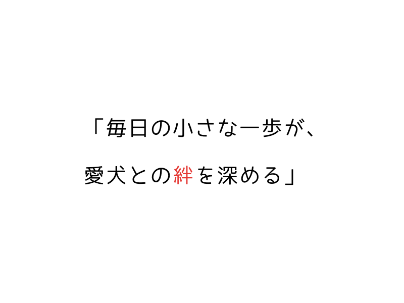 日本語・英語で学べる|繁殖引退犬の基本コマンドと信頼関係作り06.png
alt=" 日本語・英語で学べる|繁殖引退犬の基本コマンドと信頼関係作り"