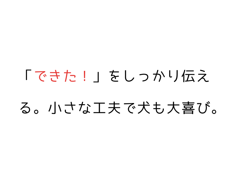 成犬からでもできる!犬のハズバンダリートレーニング完全ガイド06.png
alt=" 成犬からでもできる!犬のハズバンダリートレーニング完全ガイド"