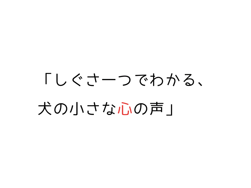 犬のカーミングシグナルとは?サインの意味と見逃さない接し方ガイド02.png
alt=" 犬のカーミングシグナルとは?サインの意味と見逃さない接し方ガイド"