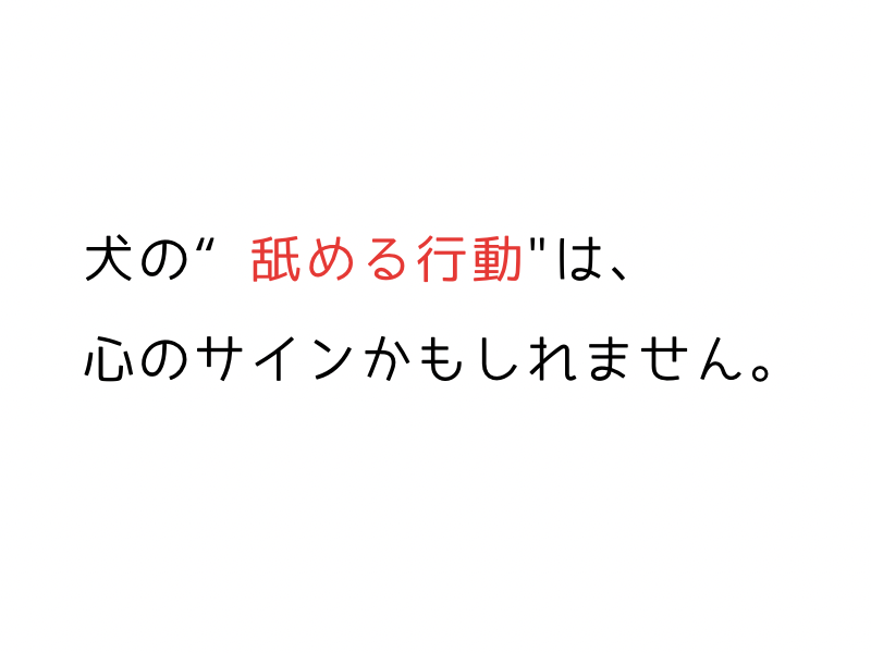 犬が前足を舐めるのはなぜ？原因と対策を徹底解説.png Alt＝”犬が前足を舐めるのはなぜ？原因と対策を徹底解説”