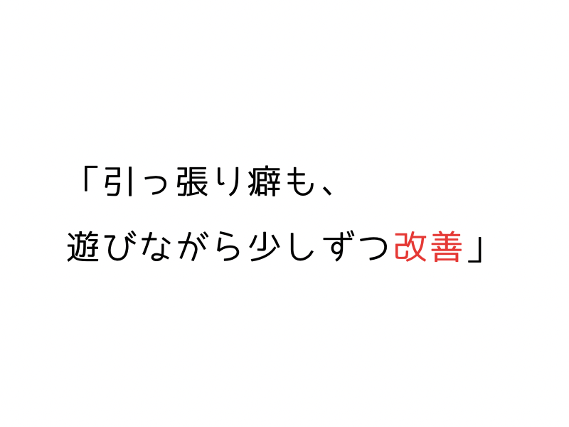 笑ちゃんの場合、パートナーと行くと引っ張りますが、私とだと立ち止まることもあります。03.png
alt=" 笑ちゃんの場合、パートナーと行くと引っ張りますが、私とだと立ち止まることもあります。"