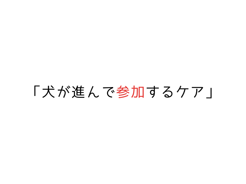 成犬からでもできる!犬のハズバンダリートレーニング完全ガイド02.png
alt=" 成犬からでもできる!犬のハズバンダリートレーニング完全ガイド"