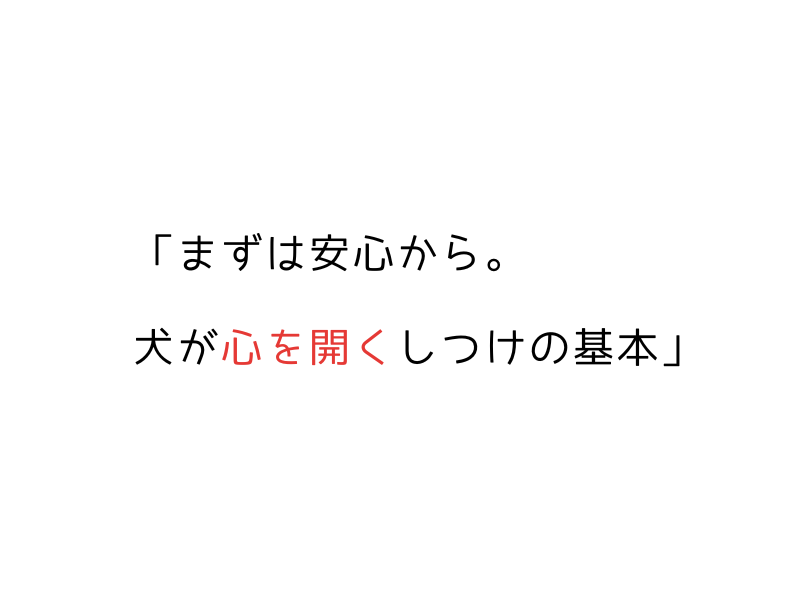 日本語・英語で学べる|繁殖引退犬の基本コマンドと信頼関係作り05.png
alt="日本語・英語で学べる|繁殖引退犬の基本コマンドと信頼関係作り "