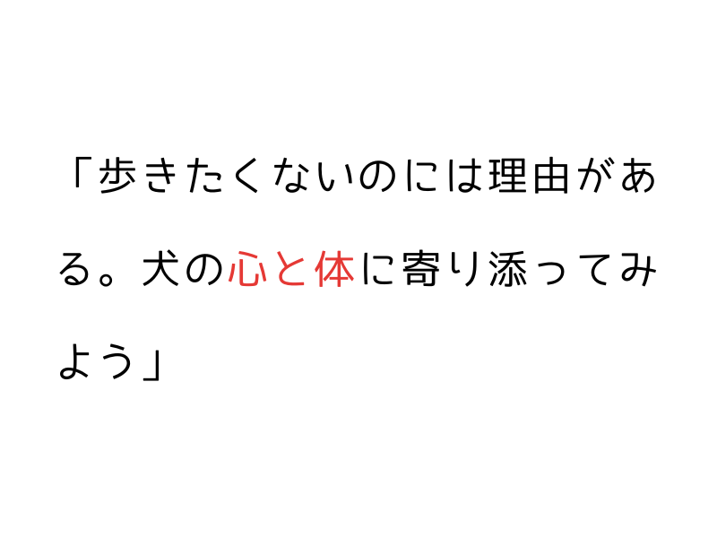 犬が散歩で歩かない…抱っこばかりの犬とのステップ01.png
alt=" 犬が散歩で歩かない…抱っこばかりの犬とのステップ"