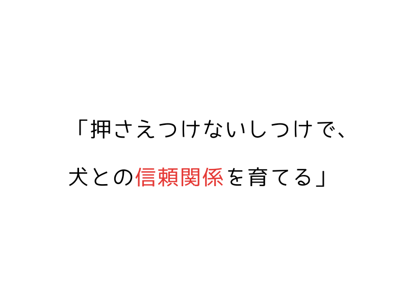 日本語・英語で学べる|繁殖引退犬の基本コマンドと信頼関係作り01.png alt=" 日本語・英語で学べる|繁殖引退犬の基本コマンドと信頼関係作り"05.png
alt=" 日本語・英語で学べる|繁殖引退犬の基本コマンドと信頼関係作り01.png alt=" 日本語・英語で学べる|繁殖引退犬の基本コマンドと信頼関係作り"