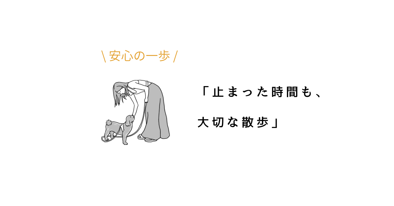 犬が散歩中に急に動かなくなるのはなぜ？原因と安心させるコツ.png
