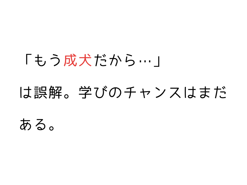 成犬からでもできる!犬のハズバンダリートレーニング完全ガイド03.png
alt=" 成犬からでもできる!犬のハズバンダリートレーニング完全ガイド"